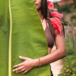 pexels-ricrodrigues-813231